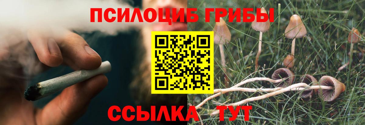 Кинель  Псилоцибиновые грибы мухоморы  наркота  Вход с VPN 